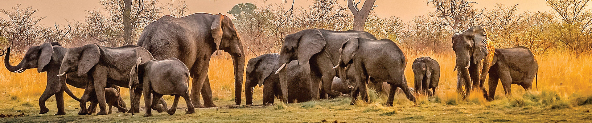 بهار در آفریقای جنوبی؛ فصل شگفتی‌های طبیعت و فرهنگ