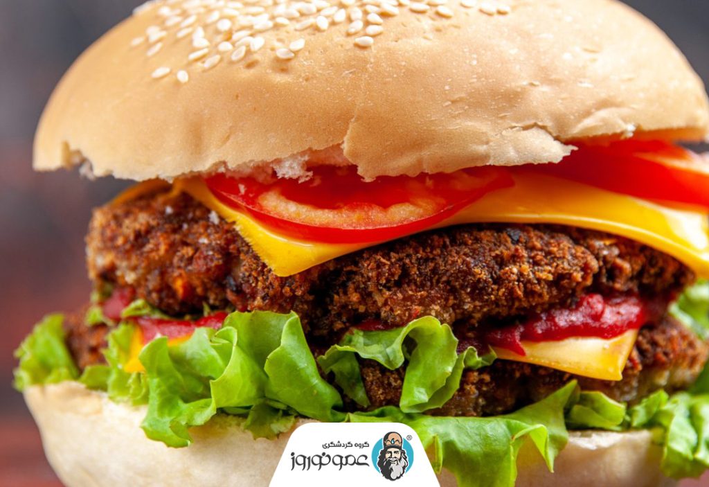 معرفی مک دانلود (روز جهانی برگر)