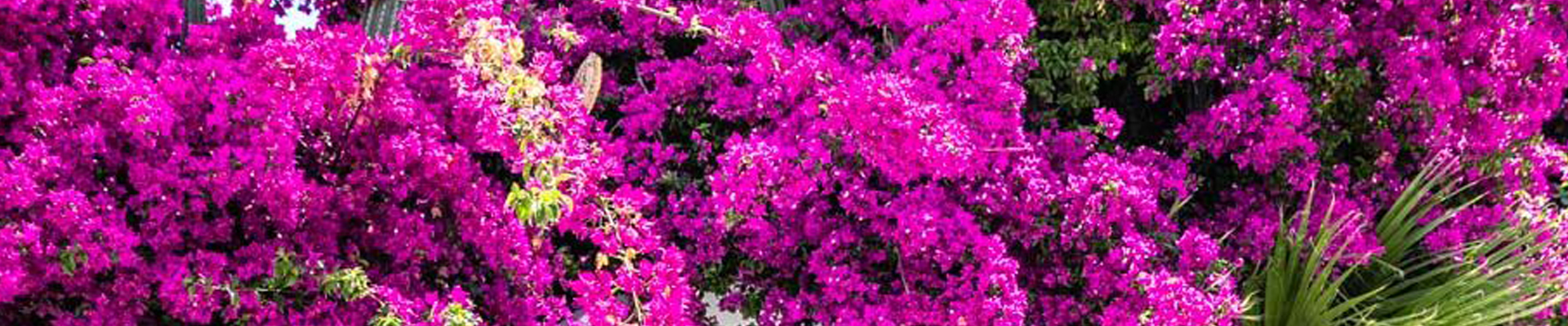 سفرهای تابستونی زیر ۶۰ میلیون تومان