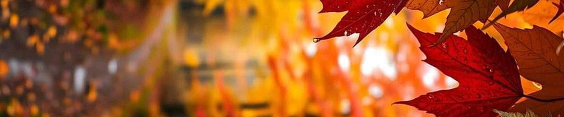 تورهای پاییزی اروپا